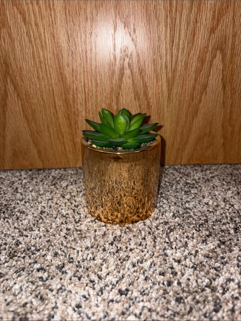 Target Gold Planter with Green Faux Succulent